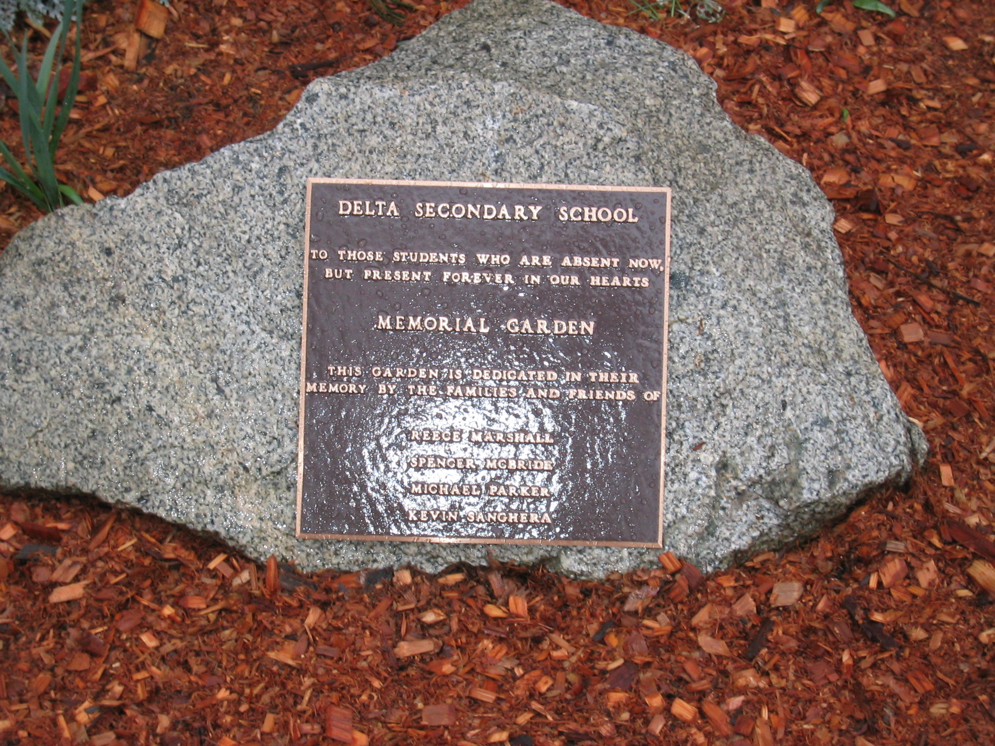 garden001.jpg